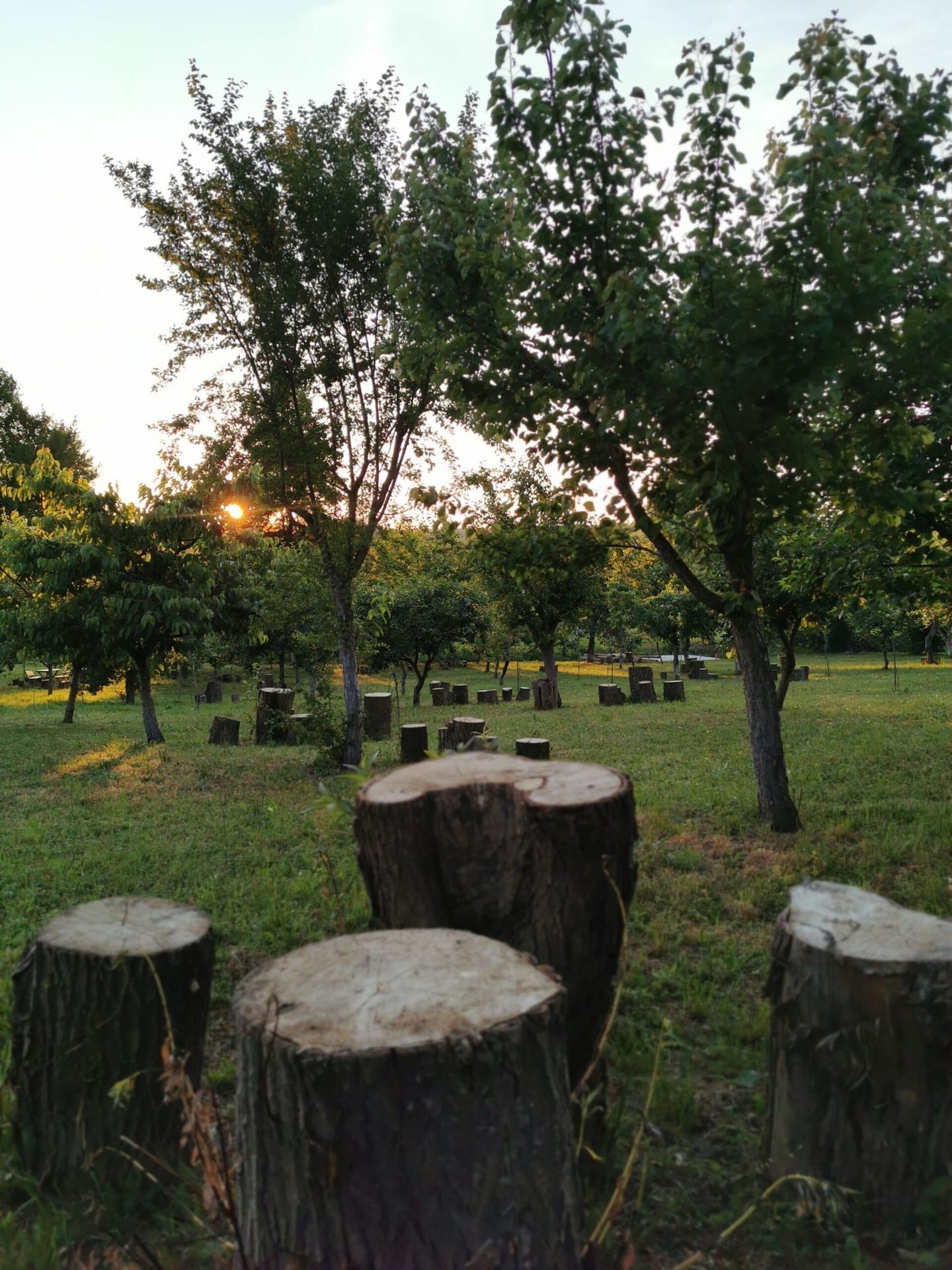 Natură la Domeniile Murani